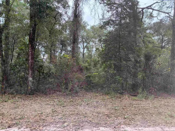 133 Rochelise Road, Crawfordville, FL 32327