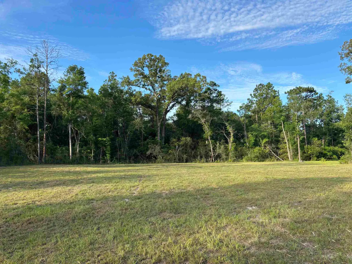 XX Sellars Drive, Crawfordville, FL 32327 - #1
