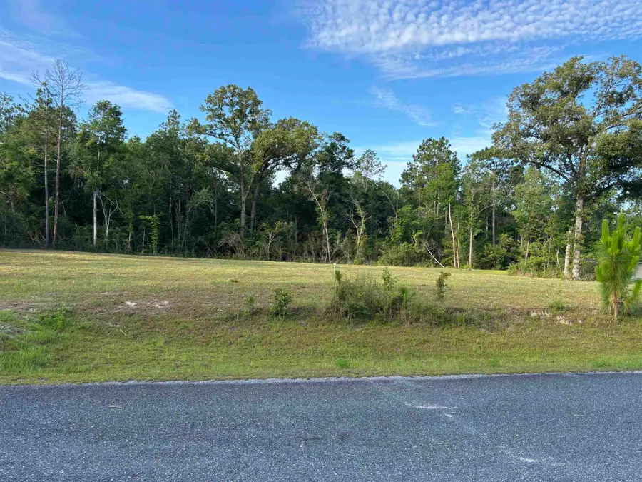 XX Sellars Drive, Crawfordville, FL 32327 - #2