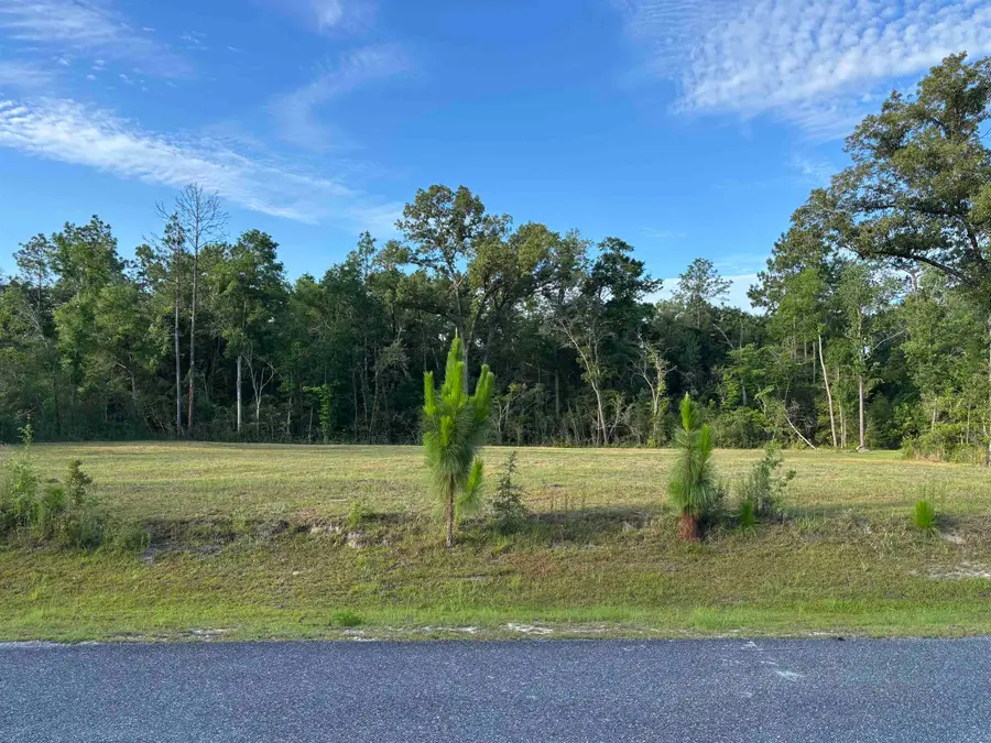 XX Sellars Drive, Crawfordville, FL 32327 - #3