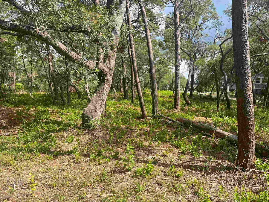 xxxx Angus Morrison Drive, Alligator Point, FL 32346 - #3
