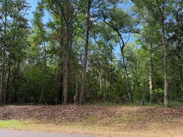 Lot 14 Crestwood Drive, Tallahassee, FL 32311 - #1