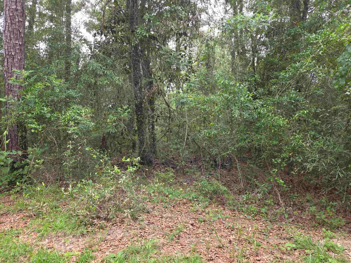xxx NE Shadow Lane, Hosford, FL 32334 - #1