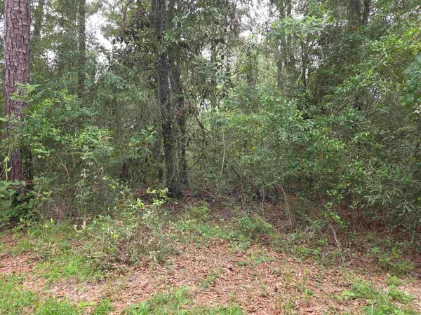 xxx NE Shadow Lane, Hosford, FL 32334