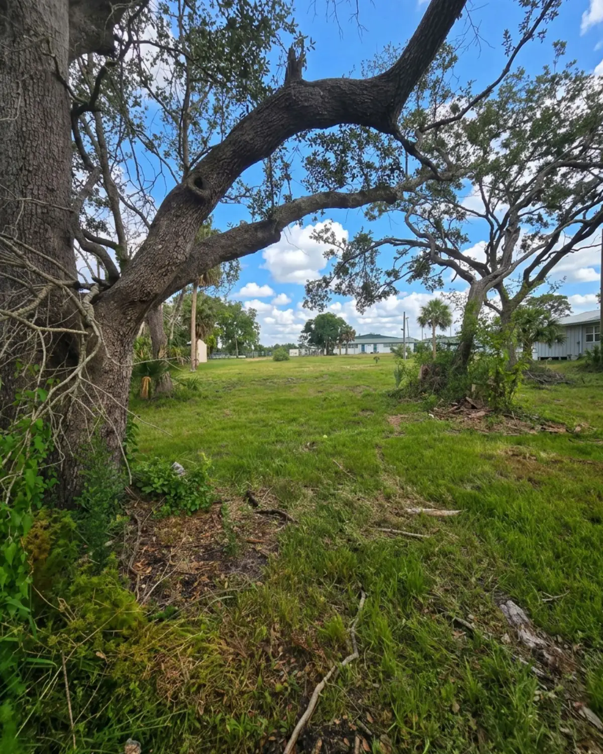 1111 NE Centra Avenue, Steinhatchee, FL 32359 - #1