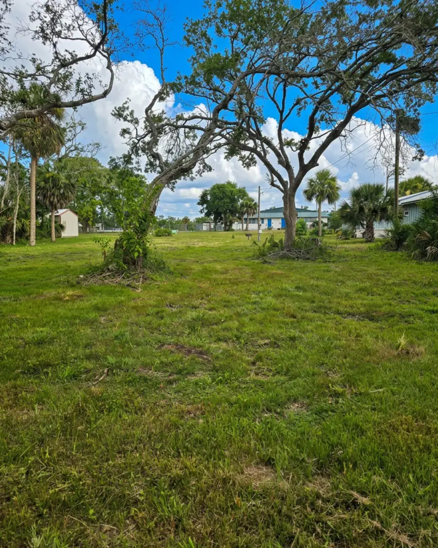 1111 NE Centra Avenue, Steinhatchee, FL 32359 - #2