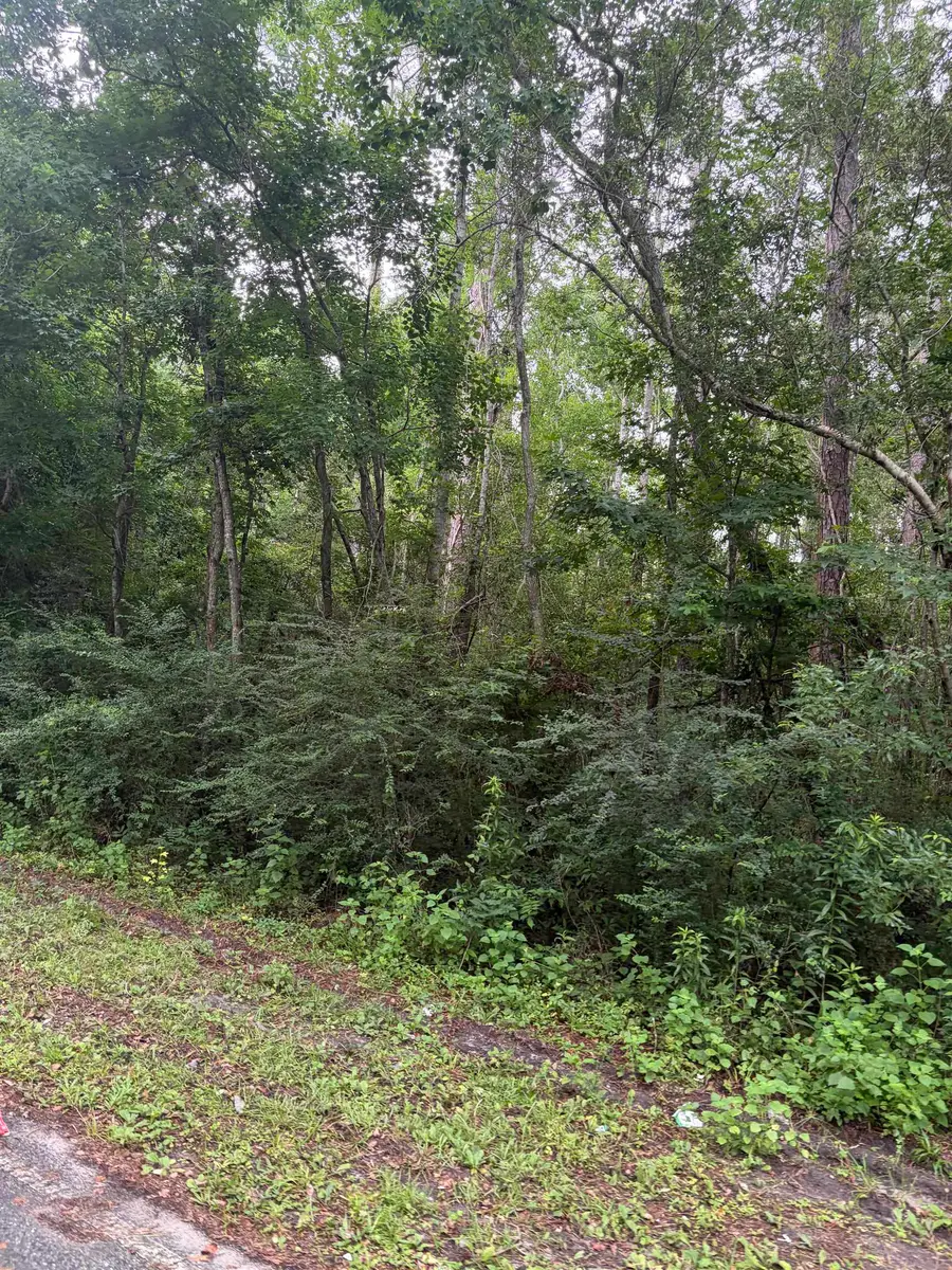 SW Bishop Avenue, Greenville, FL 32331 - #3