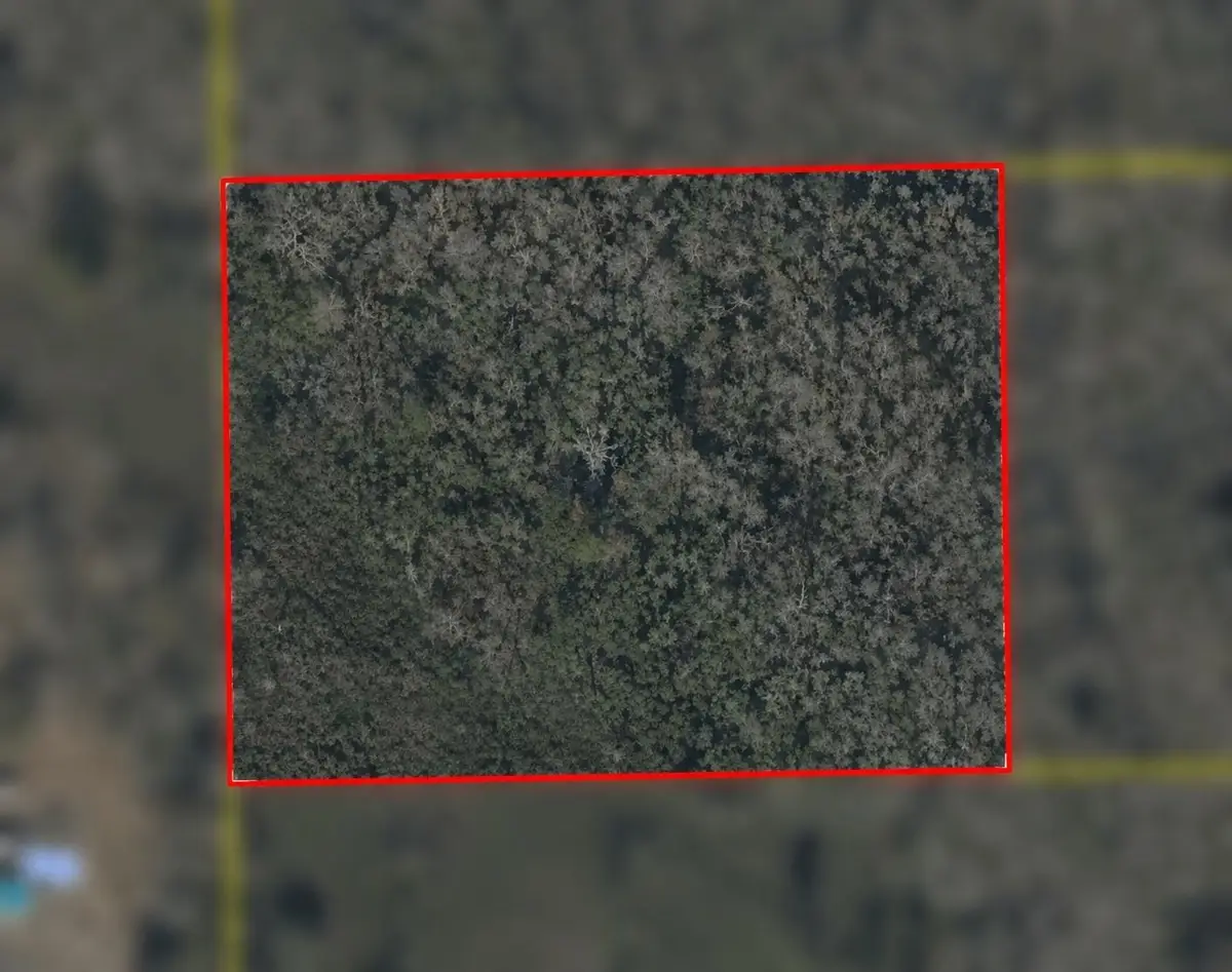 SW Us 221, Greenville, FL 32331 - #1