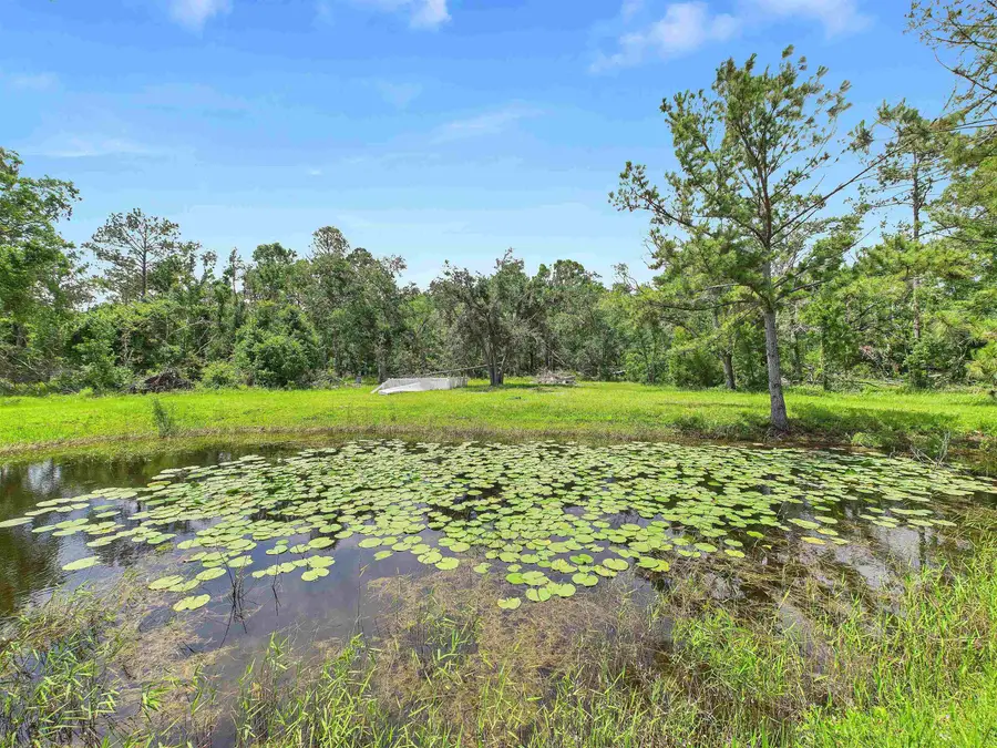 00 Beach Road, Perry, FL 32348 - #3