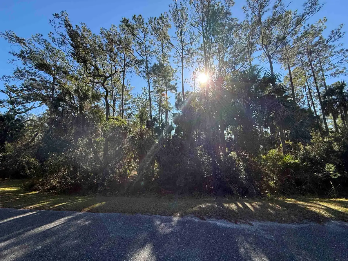 XXX Hobbs Way, Saint Marks, FL 32355 - #1