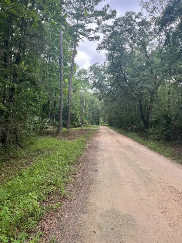 Lots 18 & 19 Owl Lane, Crawfordville, FL 32327