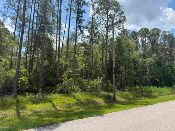 TBD S Salt Road, Monticello, FL 32344