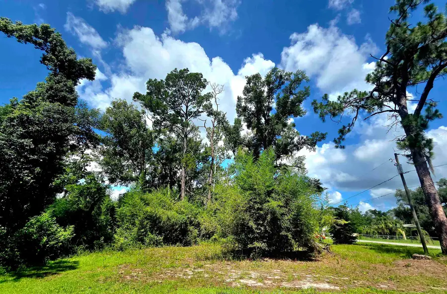 Lot 1 N Washington Street, Perry, FL 32347 - #3