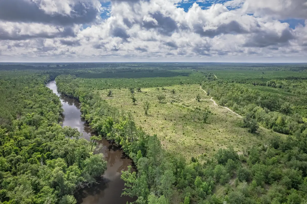 xxx NE Hickory Grove Road, Pinetta, FL 32350 - #1