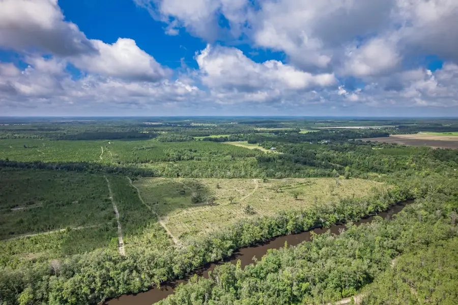 xxx NE Hickory Grove Road, Pinetta, FL 32350 - #2