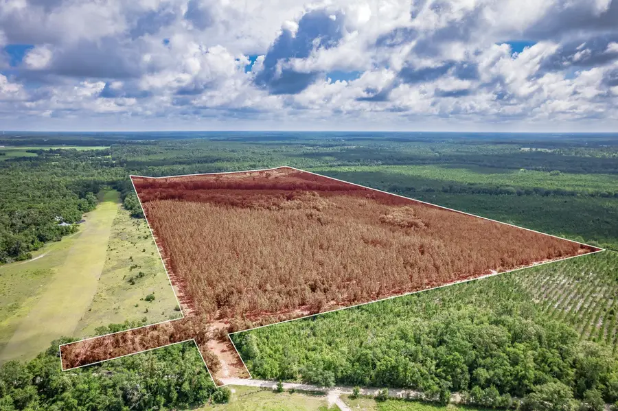 xxx NE Hickory Grove Road, Pinetta, FL 32350 - #3
