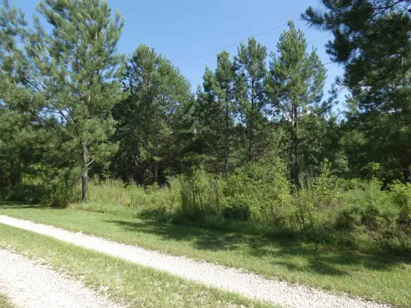 TBD Orchard Lane, Monticello, FL 32344