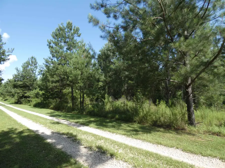 TBD Orchard Lane, Monticello, FL 32344 - #2