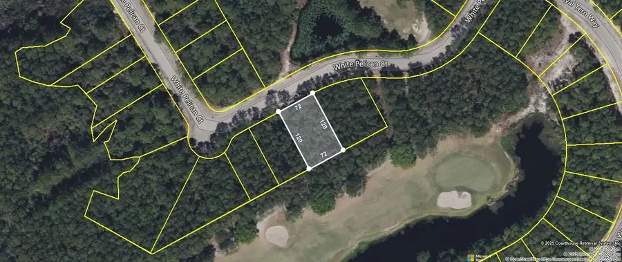 118 White Pelican Way, Carrabelle, FL 32322 - #2