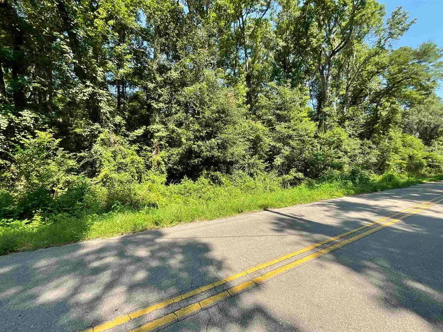 Hugh Road, Tallahassee, FL 32309 - #2