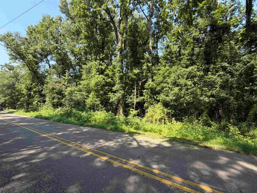 Hugh Road, Tallahassee, FL 32309 - #3