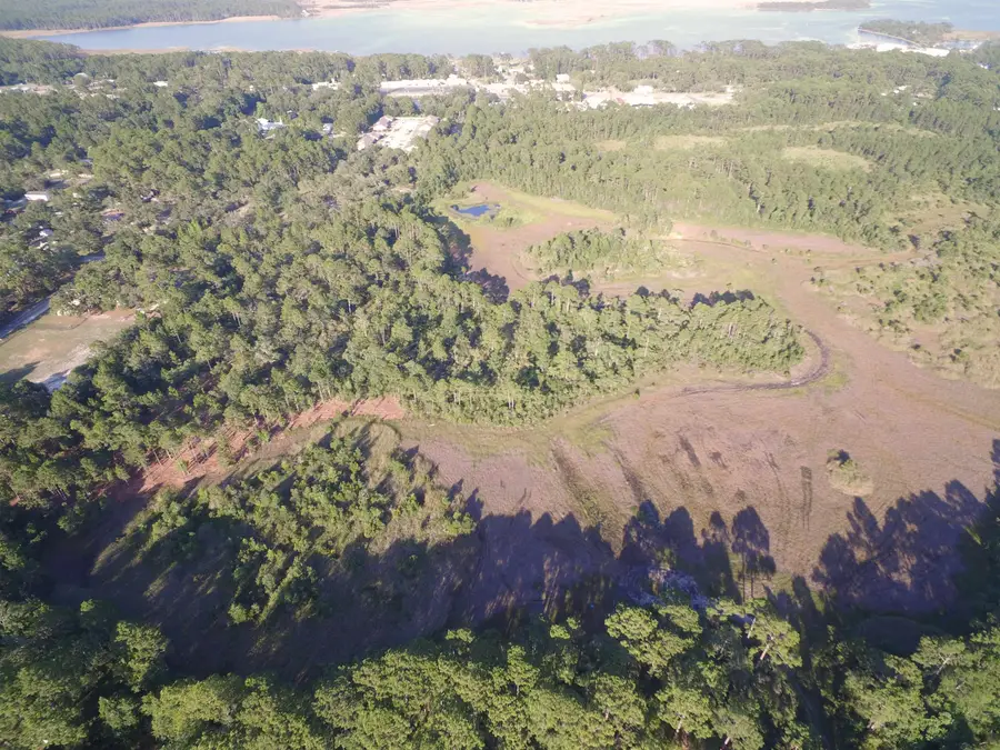 14 acres Lilly Avenue, Panacea, FL 32346 - #3
