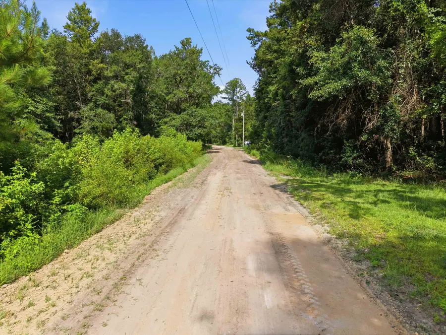 XXX Neely Road, Monticello, FL 32344 - #2