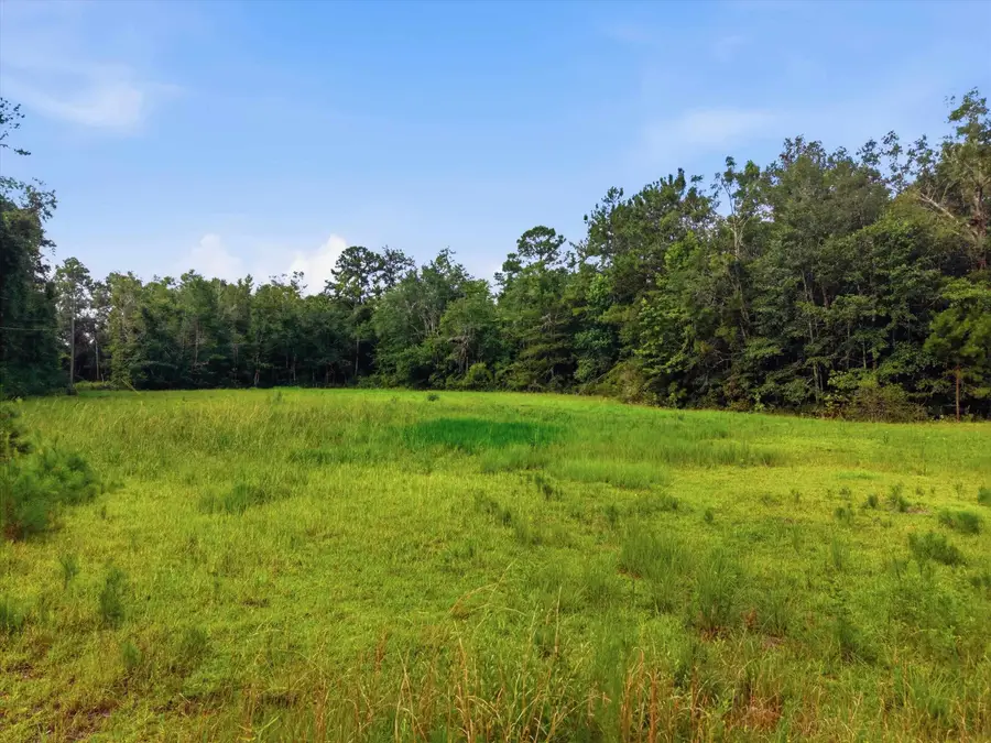 XXX Neely Road, Monticello, FL 32344 - #3