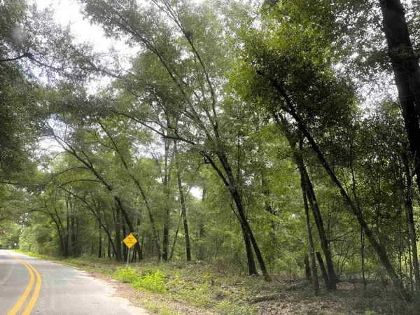 497 Mcphaul Road, Chattahoochee, FL 32324