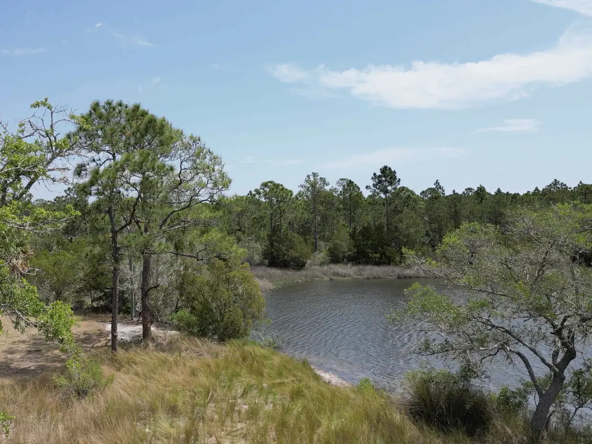 337 Levy Bay, Panacea, FL 32346 - #1