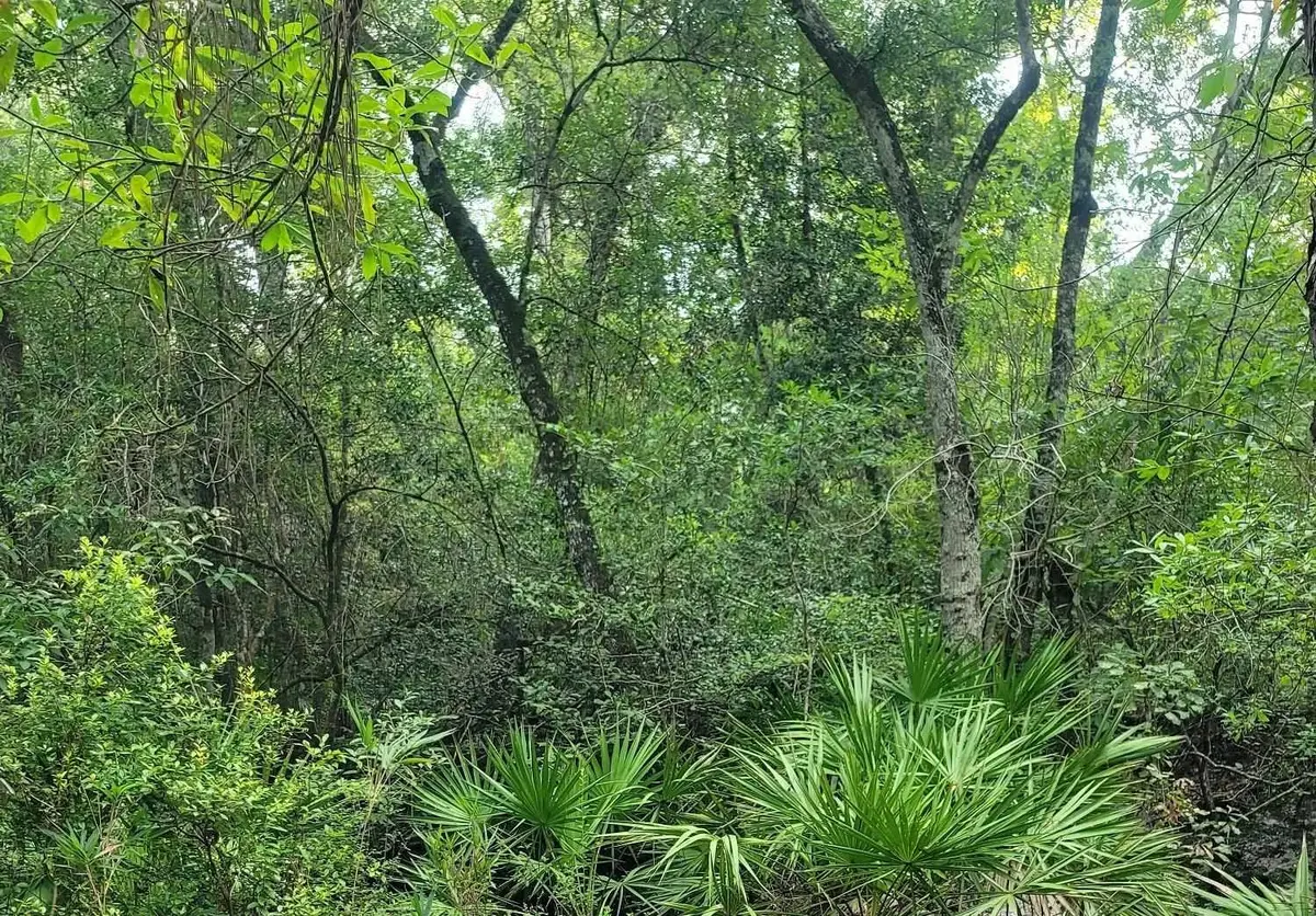 0 Sioux Trail #1, Crawfordville, FL 32327 - #1