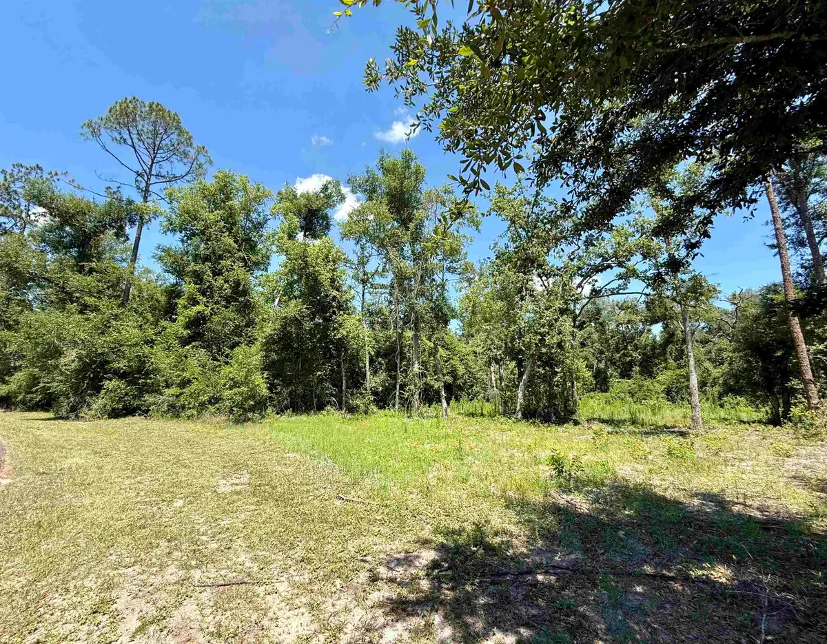 Vacant Wildwood Circle, Live Oak, FL 32064 - #1