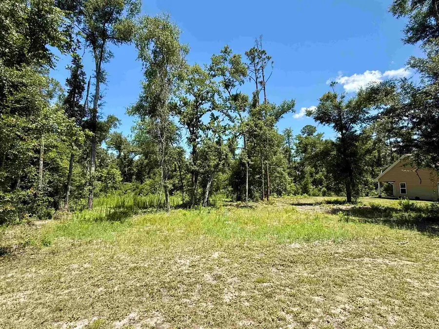 Vacant Wildwood Circle, Live Oak, FL 32064 - #3