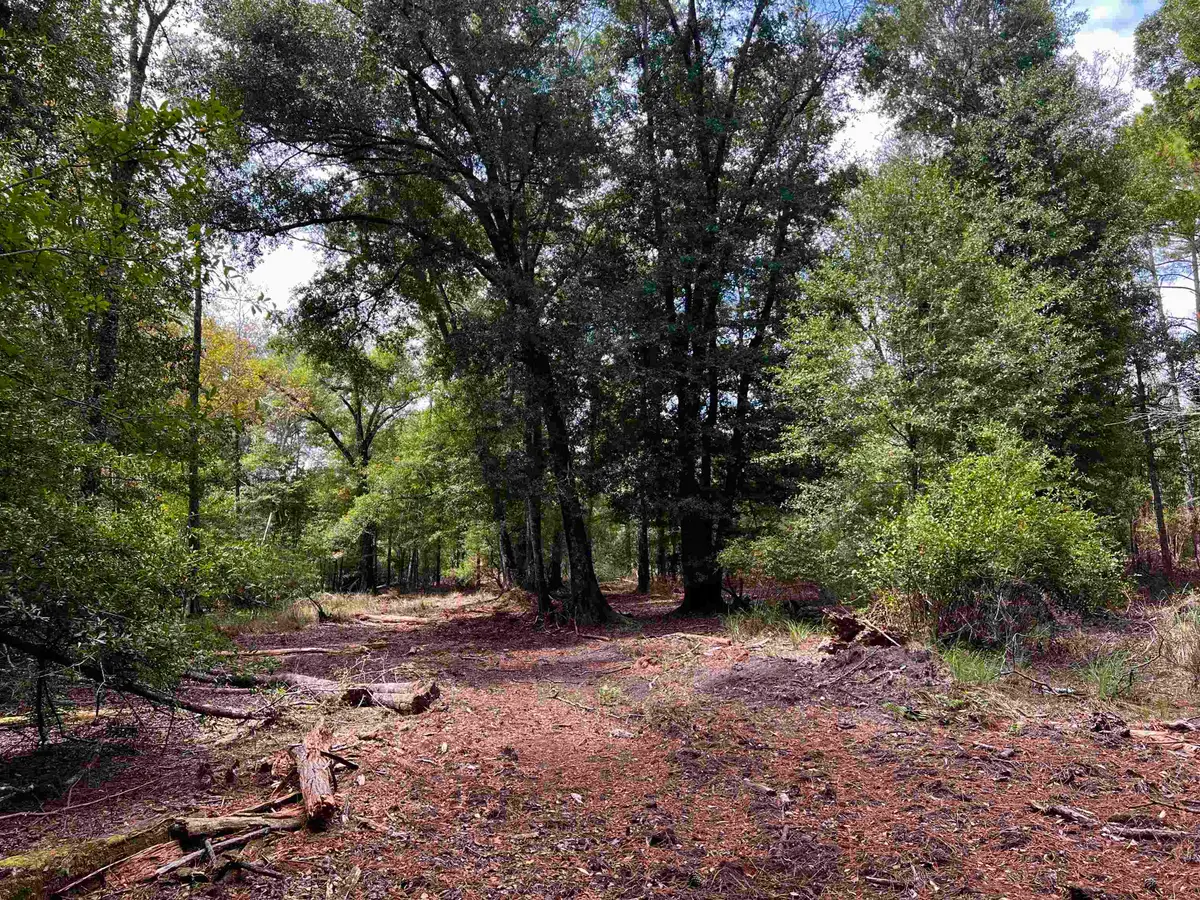 Lot #7 Glory Road, Quincy, FL 32352 - #1