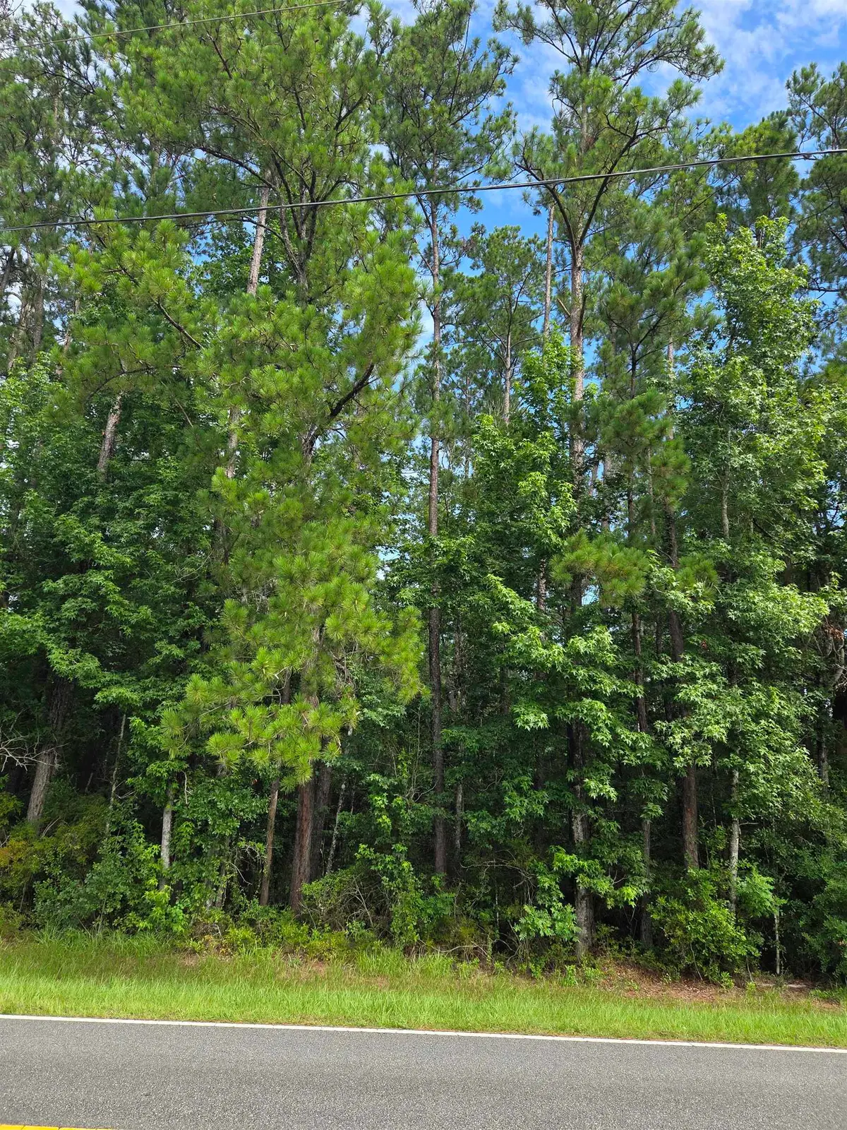 XXX NW Cr 333, Bristol, FL 32321 - #1