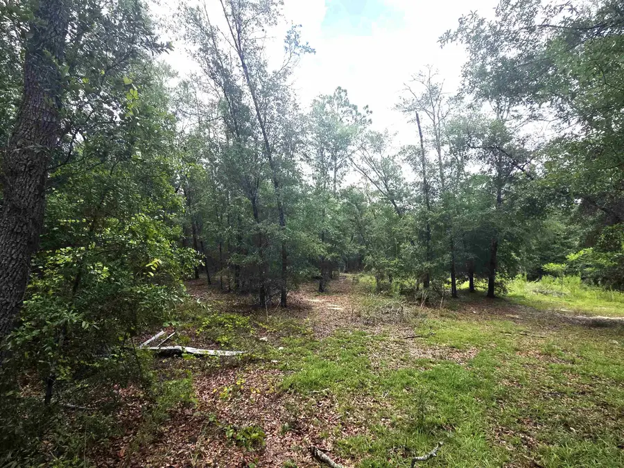 10862 NW Garden Of Eden, Bristol, FL 32321 - #3