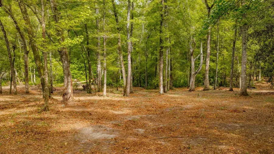 0 Pisgah Church Road, Tallahassee, FL 32309 - #2