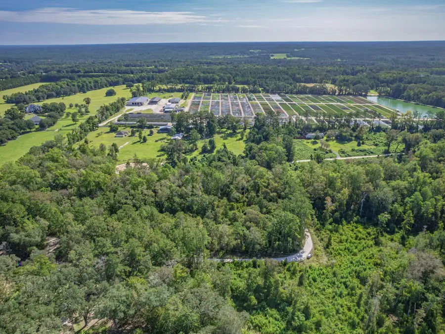 Eastwood Road, Monticello, FL 32344 - #3