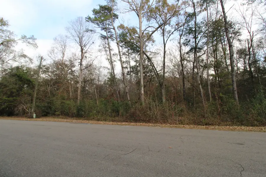 Lot 11 Block D River Plantation Road, Crawfordville, FL 32327 - #3