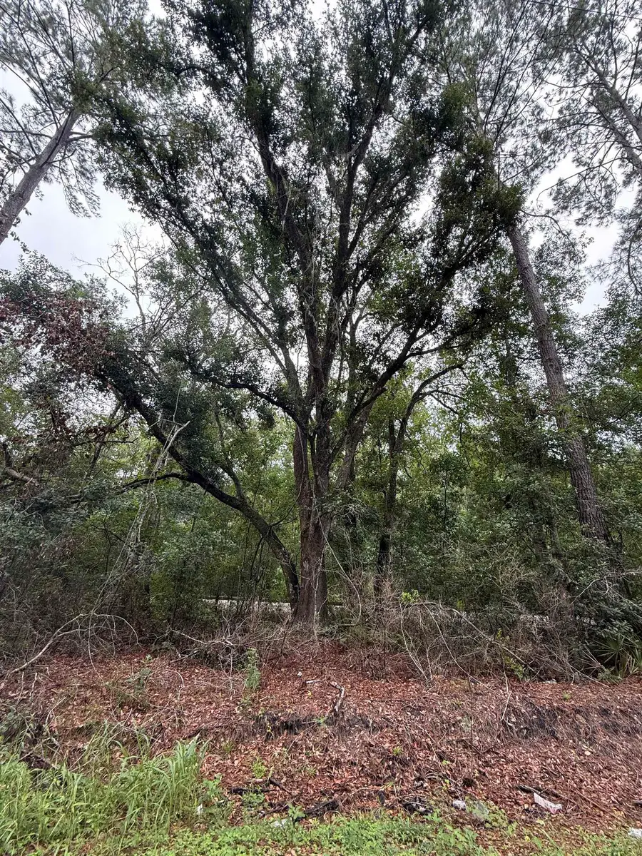 TBD SW Tram Road, Greenville, FL 32331 - #3