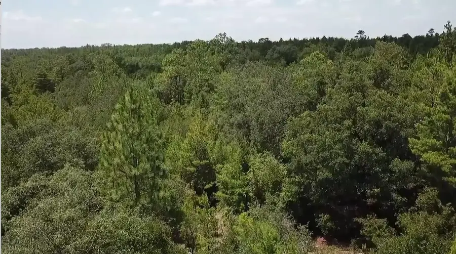 xx Eastbrook Drive, Chipley, FL 32428 - #3