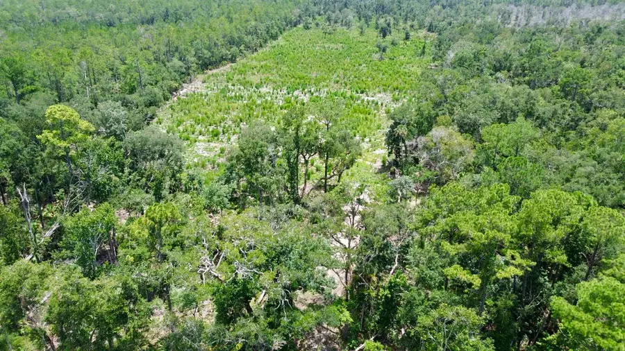 Vacant W Us Hwy 98, Lamont, FL 32336 - #3