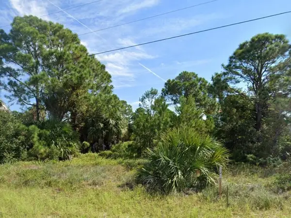 5 Carousel Terrace, Alligator Point, FL 32346