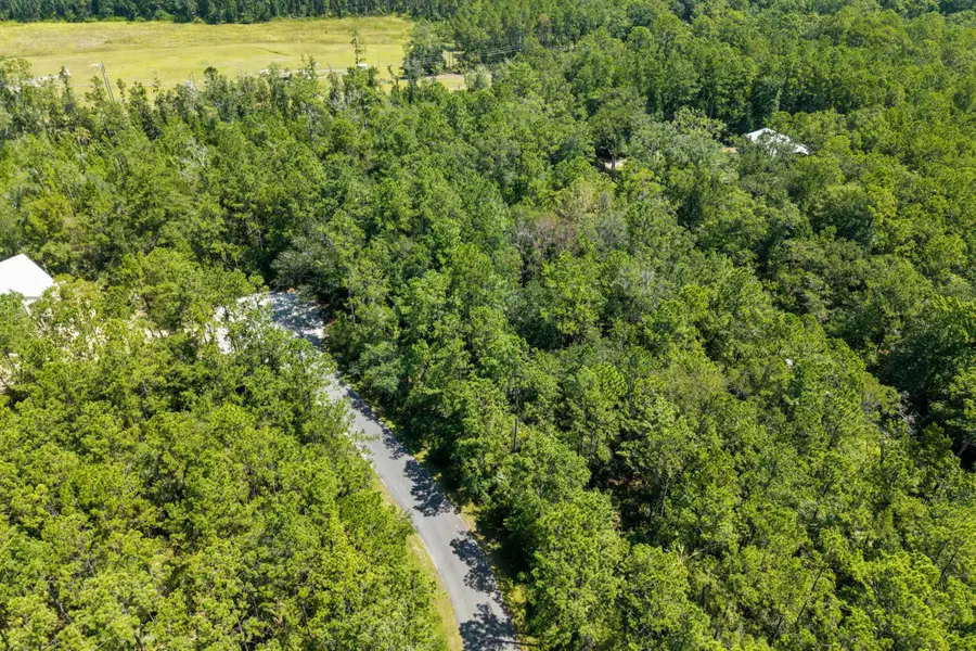XX Sergeant Preble Court, Saint Marks, FL 32355 - #2