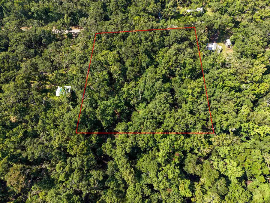 23156 Nutall Rise, Perry, FL 32347 - #2