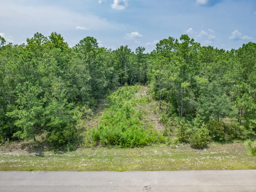xxx Old Palmetto Path, Saint Marks, FL 32355 - #2