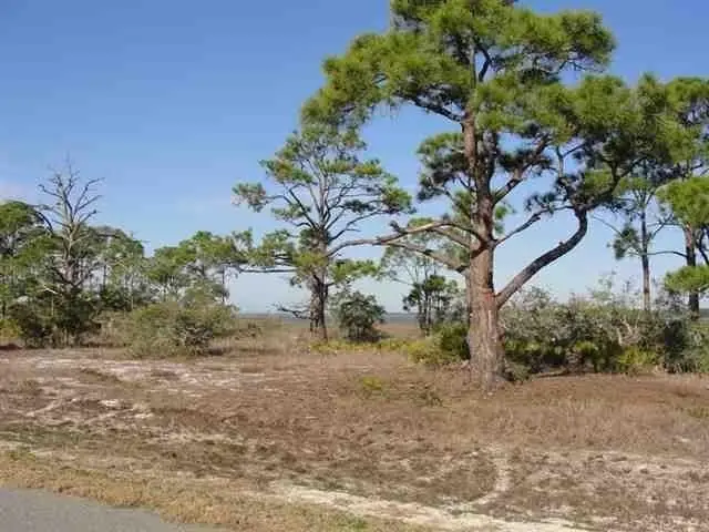 119 Hidden Harbor Drive #I, Alligator Point, FL 32346 - #1