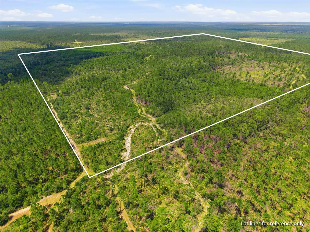 SW Scotts Ferry Road, West Calhoun, FL 32466 - #1