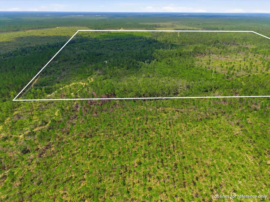 SW Scotts Ferry Road, West Calhoun, FL 32466 - #3