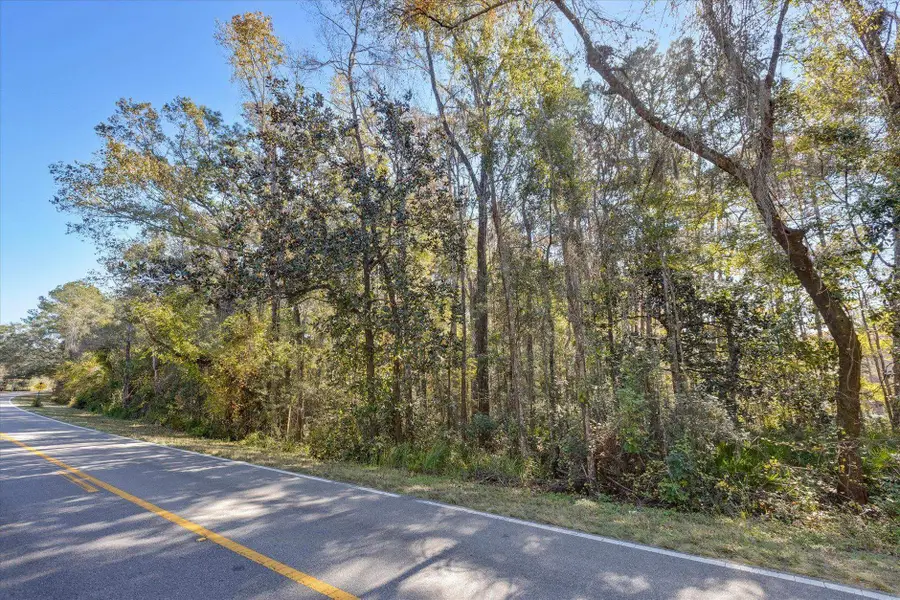 0 Tram Road, Tallahassee, FL 32311 - #3